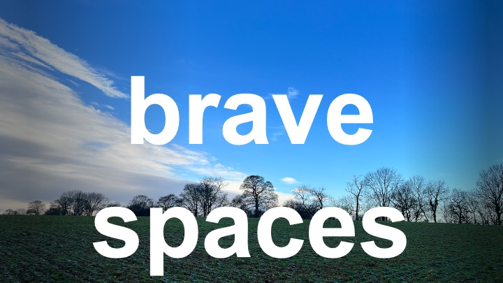 brave%20spaces%20logo